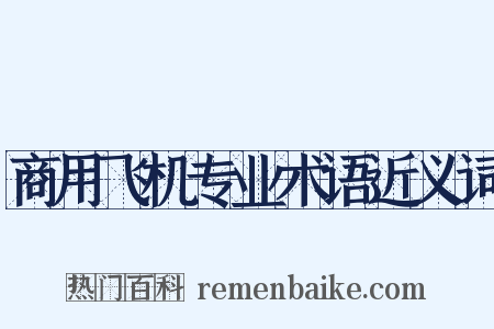 商用飞机专业术语近义词是什么意思的图片
